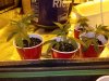 20201027_210739.jpg