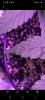 Screenshot_20201028-090201_Gallery.jpg