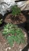 20201028_062034.jpg