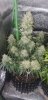 20201028_142445.jpg