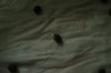 DSC03607.jpg