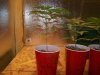 100_4553.jpg