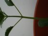day20-6.jpg