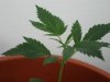 day20-8.jpg