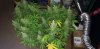 20201028_234509.jpg