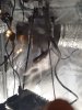 20201030_121133.jpg