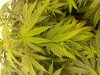 20201029_210715.jpg