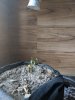 MVIMG_20201102_163250.jpg