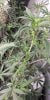 20201104_172328.jpg 20201104_172328.jpg