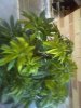 IMG_20201105_084847.jpg