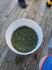 20201109_110326.jpg