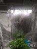 IMG_20201110_155617071.jpg