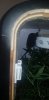 20201112_231113.jpg