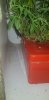 20201112_231104.jpg