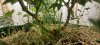 20201113_132733.jpg
