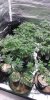 20201116_164853.jpg