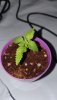 20201117_130327.jpg