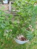 20201119_183446.jpg