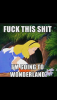fa82355c47aa3da947f3f5b18f240062.png
