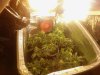 Photo0018.jpg