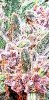Screenshot_20201122-153722_Gallery.jpg