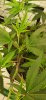 20201123_153557.jpg