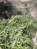 IMG_6495.JPEG