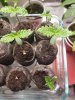 20201125_222249.jpg