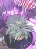IMG_20201026_134755.jpg