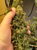 20201128_135746.jpg