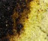 kief_burnt.jpg