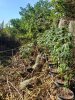 20201129_133509.jpg