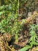 20201129_133614.jpg
