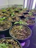 20201129_133729.jpg