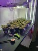 20201129_133719.jpg
