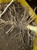 20201125_183722.jpg 20201125_183722.jpg
