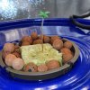 20201201_051358.jpg
