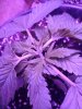 20201203_223855.jpg