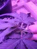 20201203_223847.jpg