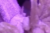 1607045335895.png