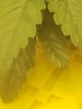 20201206_085940.jpg