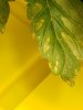 20201206_085945.jpg