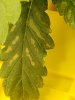 20201206_085951.jpg