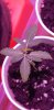20201207_060715.jpg
