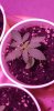 20201207_060617.jpg