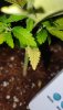 20201207_184323.jpg
