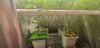 20201206_075422.jpg 20201206_075422.jpg