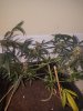 20201208_125627.jpg