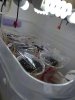 20201208_235403.jpg