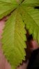 20201208_232910.jpg